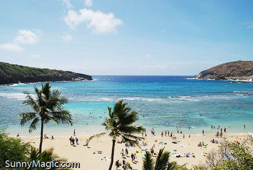 hanauma beach